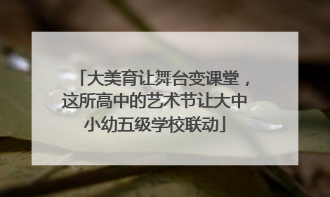 大美育让舞台变课堂，这所高中的艺术节让大中小幼五级学校联动