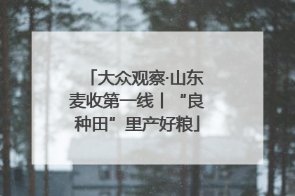 大众观察·山东麦收第一线丨“良种田”里产好粮