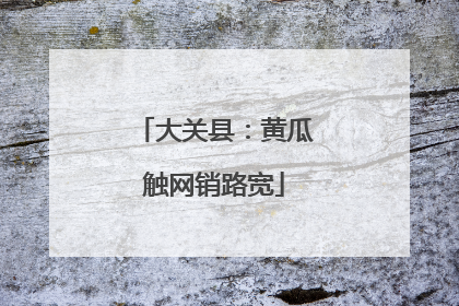 大关县：黄瓜触网销路宽
