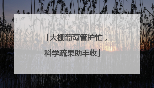 大棚葡萄管护忙，科学疏果助丰收