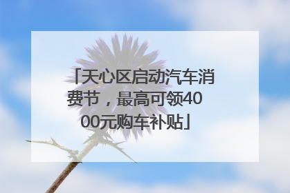 天心区启动汽车消费节，最高可领4000元购车补贴
