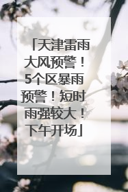天津雷雨大风预警！5个区暴雨预警！短时雨强较大！下午开场