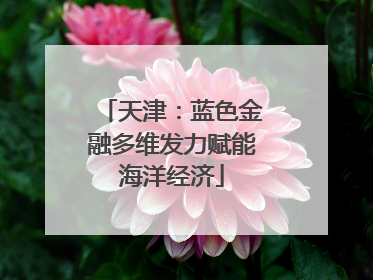 天津：蓝色金融多维发力赋能海洋经济