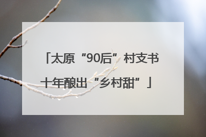太原“90后”村支书十年酿出“乡村甜”