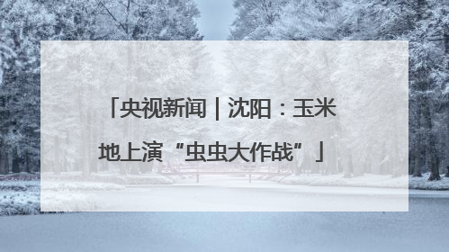 央视新闻｜沈阳：玉米地上演“虫虫大作战”