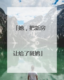 她，把新房让给了斑鸠