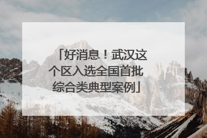 好消息！武汉这个区入选全国首批综合类典型案例