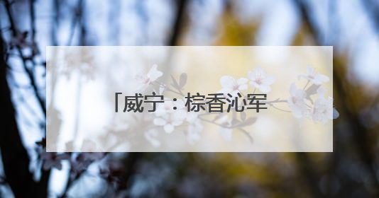 威宁：棕香沁军营 童心敬戎装