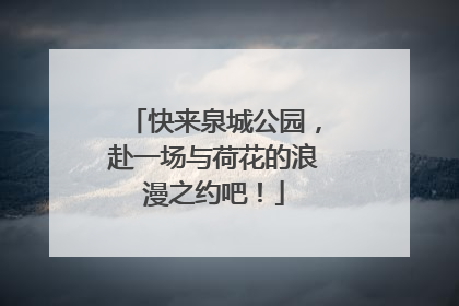 快来泉城公园，赴一场与荷花的浪漫之约吧！