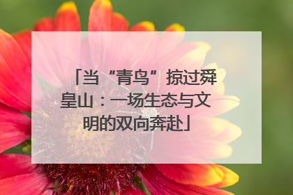 当“青鸟”掠过舜皇山：一场生态与文明的双向奔赴