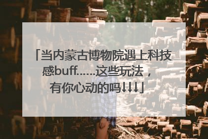 当内蒙古博物院遇上科技感buff……这些玩法，有你心动的吗↓↓↓