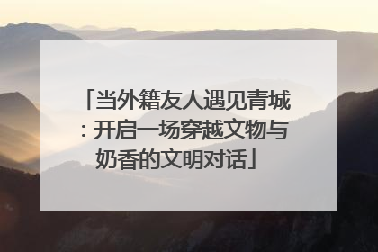 当外籍友人遇见青城：开启一场穿越文物与奶香的文明对话