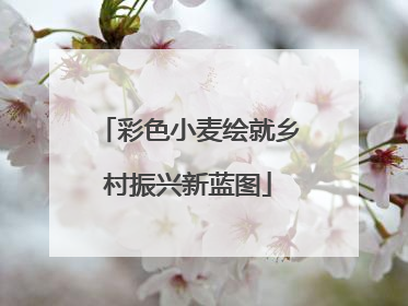 彩色小麦绘就乡村振兴新蓝图