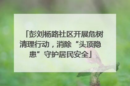 彭刘杨路社区开展危树清理行动，消除“头顶隐患”守护居民安全