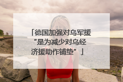 德国加强对乌军援 “是为减少对乌经济援助作铺垫”