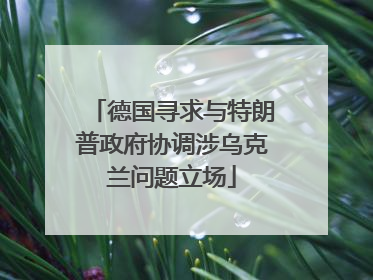 德国寻求与特朗普政府协调涉乌克兰问题立场