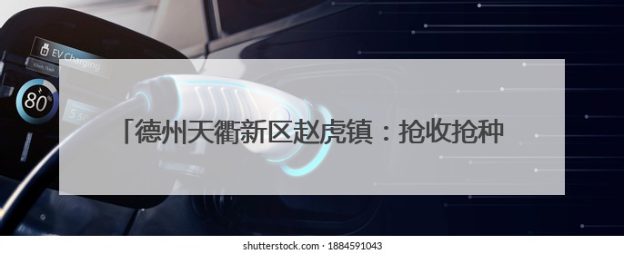 德州天衢新区赵虎镇：抢收抢种同推进，筑牢“三夏”生产防线