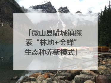 微山县驩城镇探索“林地+金蝉”生态种养新模式