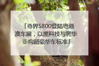 尊界S800登陆粤港澳车展，以黑科技与奢华重构超豪华车标准