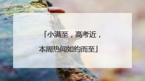 小满至，高考近，本周热闻如约而至
