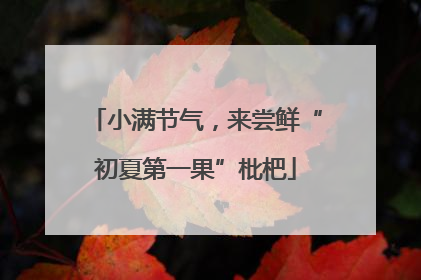 小满节气，来尝鲜“初夏第一果”枇杷