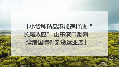 小货种精品港加速释放“长尾效应” 山东港口渤海湾港国际件杂货运业务
