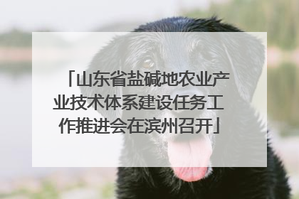 山东省盐碱地农业产业技术体系建设任务工作推进会在滨州召开
