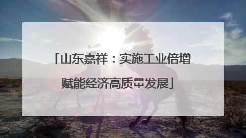 山东嘉祥：实施工业倍增 赋能经济高质量发展