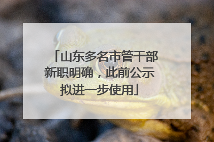 山东多名市管干部新职明确，此前公示拟进一步使用