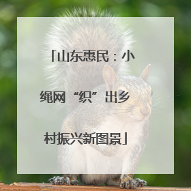 山东惠民：小绳网“织”出乡村振兴新图景