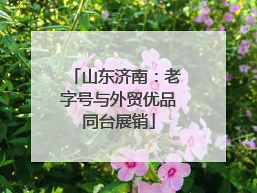 山东济南：老字号与外贸优品同台展销