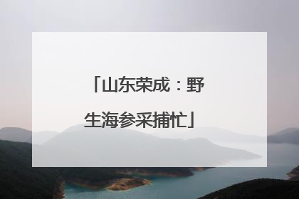 山东荣成：野生海参采捕忙