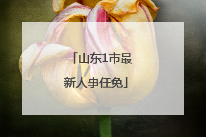 山东1市最新人事任免