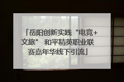 岳阳创新实践“电竞+文旅” 和平精英职业联赛嘉年华线下引流