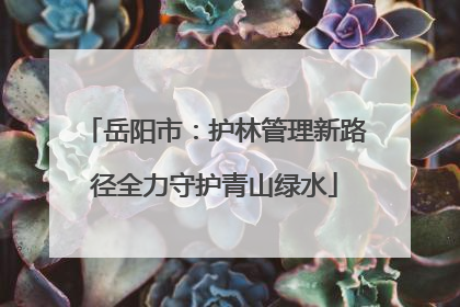 岳阳市：护林管理新路径全力守护青山绿水