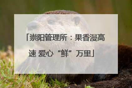 崇阳管理所：果香漫高速 爱心“鲜”万里