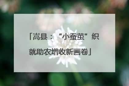 嵩县：“小蚕茧”织就助农增收新画卷