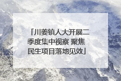 川姜镇人大开展二季度集中视察 聚焦民生项目落地见效