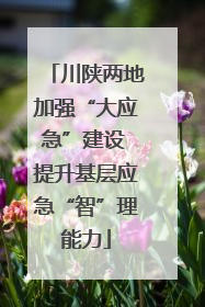 川陕两地加强“大应急”建设 提升基层应急“智”理能力