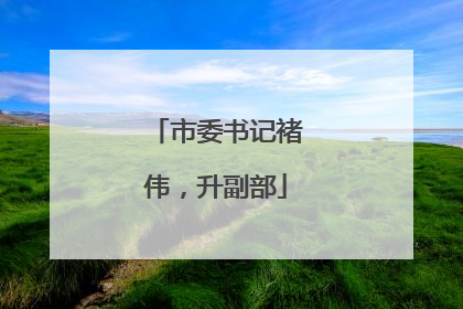 市委书记褚伟，升副部