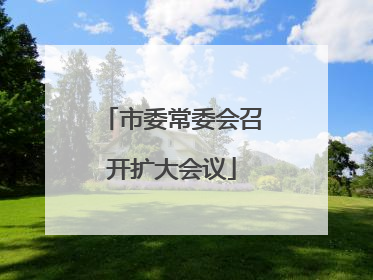 市委常委会召开扩大会议