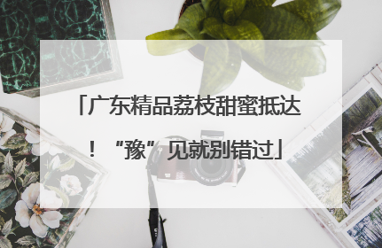 广东精品荔枝甜蜜抵达！“豫”见就别错过