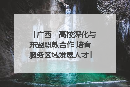 广西一高校深化与东盟职教合作 培育服务区域发展人才