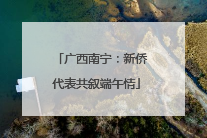 广西南宁：新侨代表共叙端午情