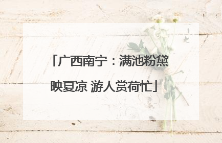 广西南宁：满池粉黛映夏凉 游人赏荷忙