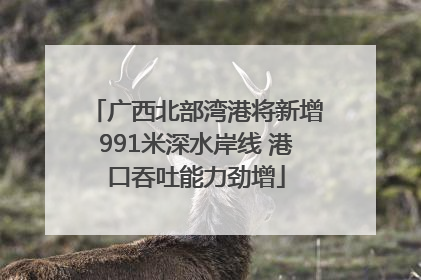 广西北部湾港将新增991米深水岸线 港口吞吐能力劲增