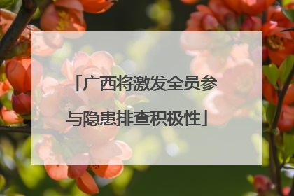 广西将激发全员参与隐患排查积极性