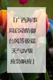 广西海事局启动防御台风等极端天气IV级应急响应