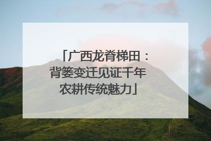 广西龙脊梯田：背篓变迁见证千年农耕传统魅力