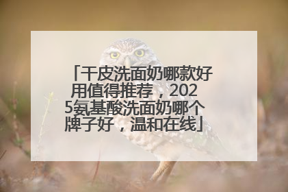 干皮洗面奶哪款好用值得推荐，2025氨基酸洗面奶哪个牌子好，温和在线